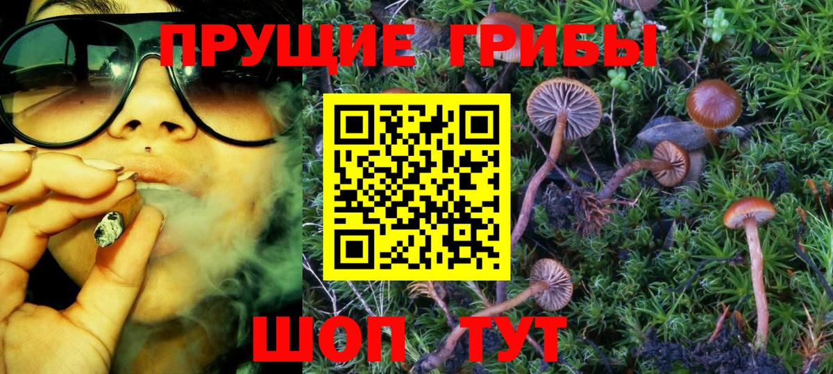 Галлюциногенные грибы GOLDEN TEACHER Новокубанск