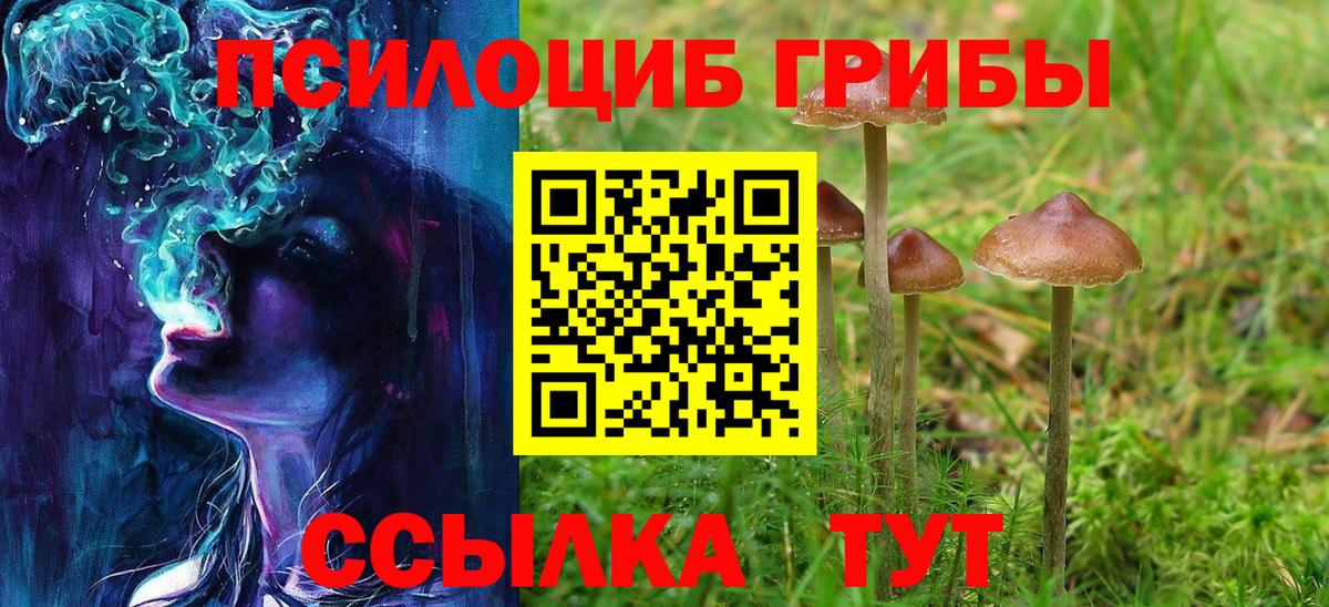 Новокубанск  Галлюциногенные грибы Psilocybine cubensis  Вход с VPN 